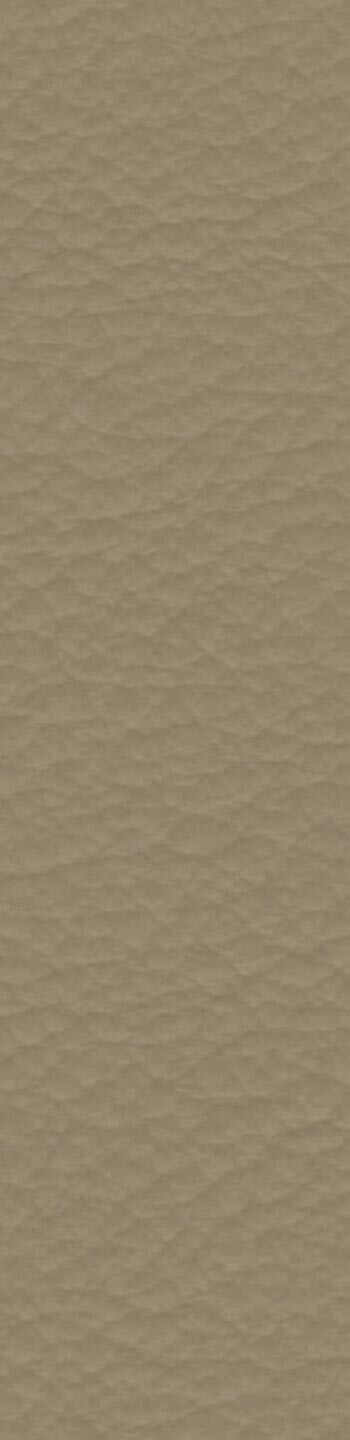 Leather I No. 629