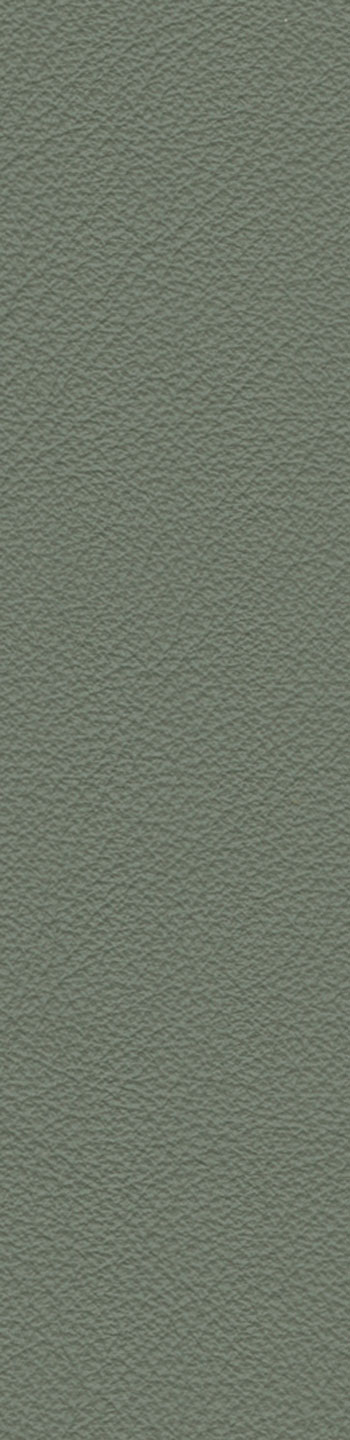 Leather I No. 669