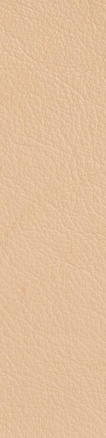 Leather II No. 22024