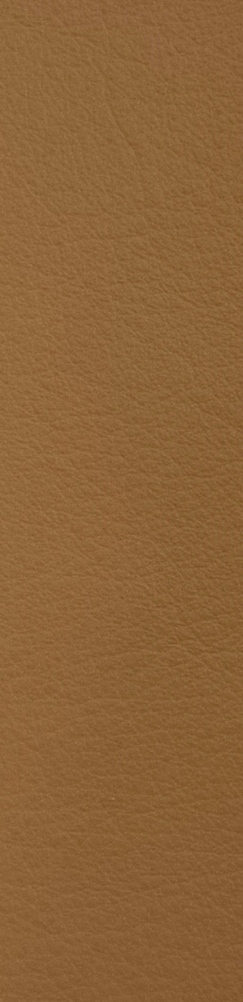 Leather II No. 03009
