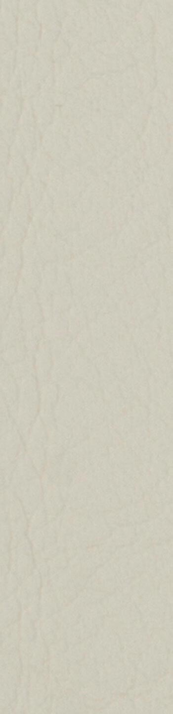 Leather II No. 01021