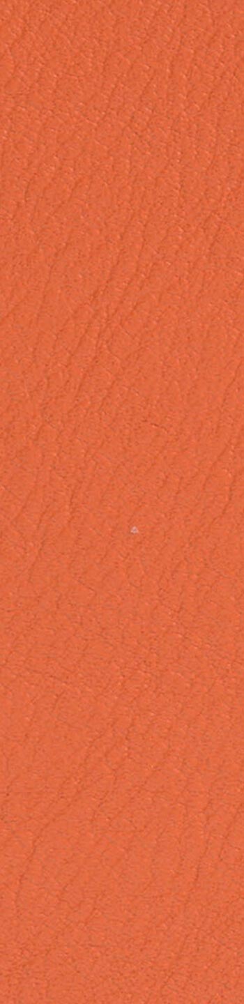 Leather II No. 45065