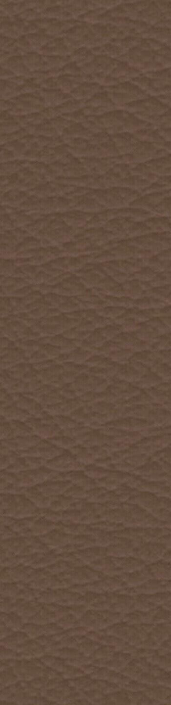 Leather I No. 627