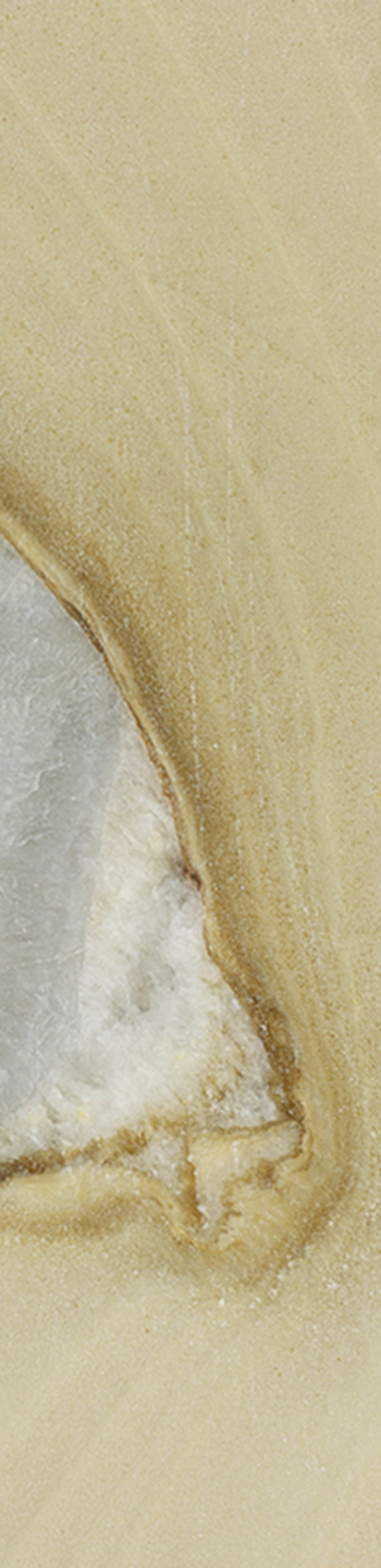 Dolomite Gold