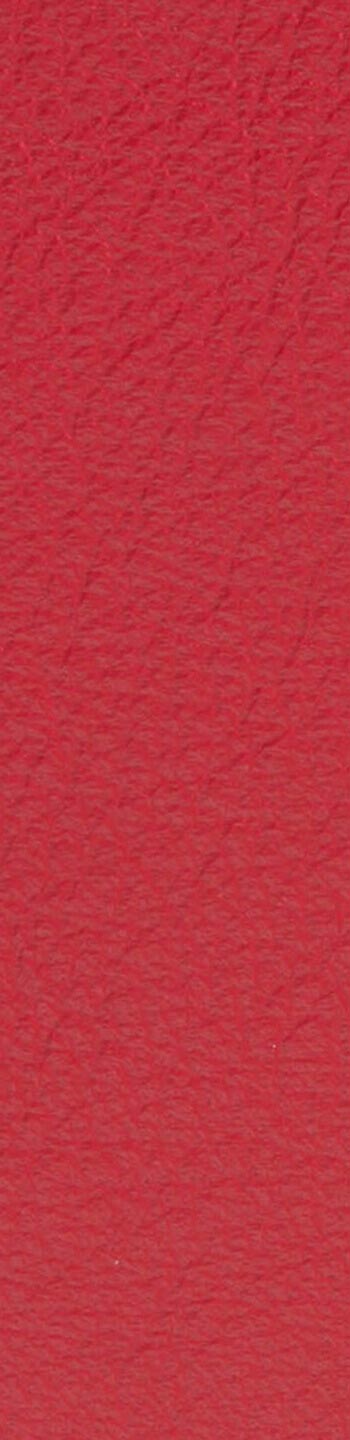 Leather II No. 55002
