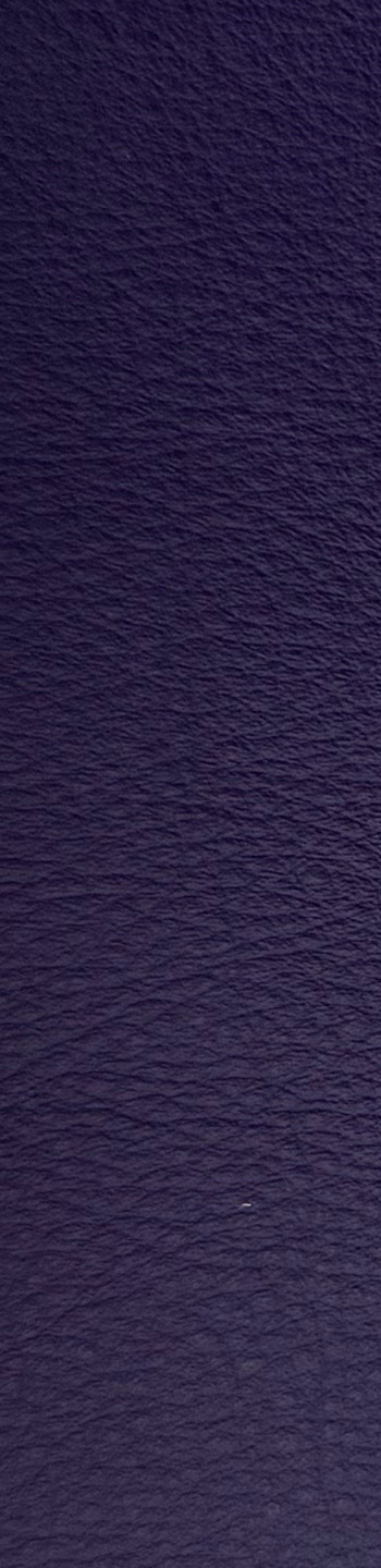 Leather II Nr. 07071