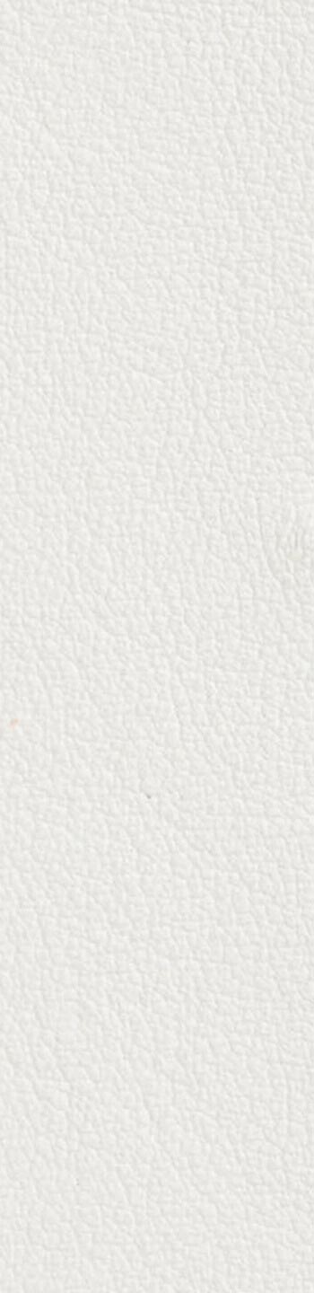 Leather II No. 00100