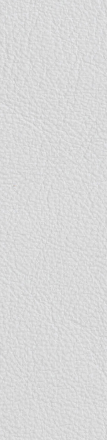 Leather II No. 01037