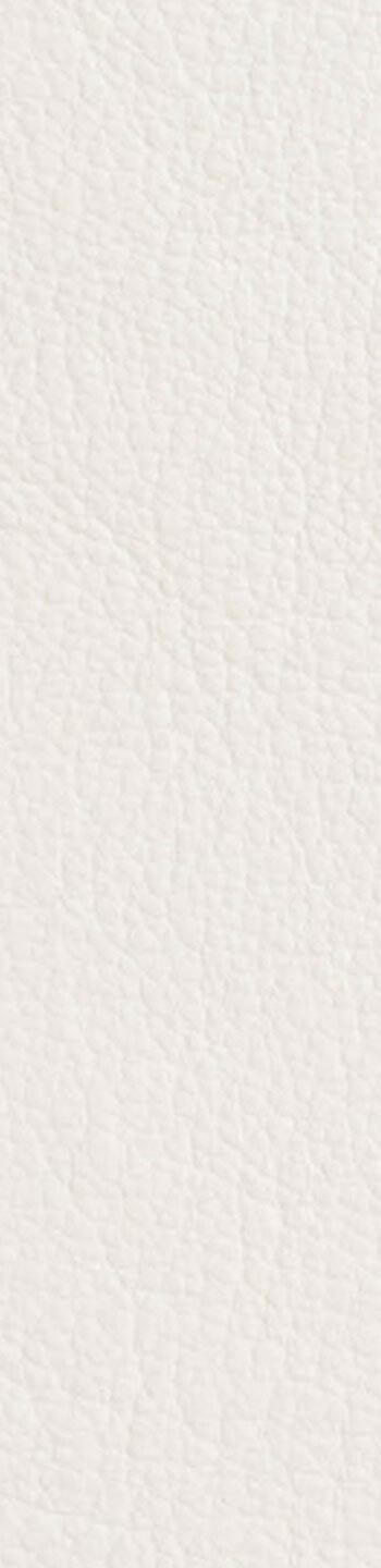 Leather II No. 00118