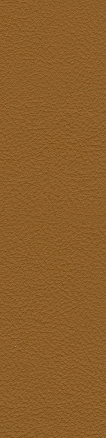 Leather I No. 679