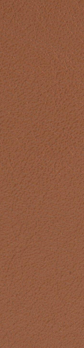 Leather II No. 33004
