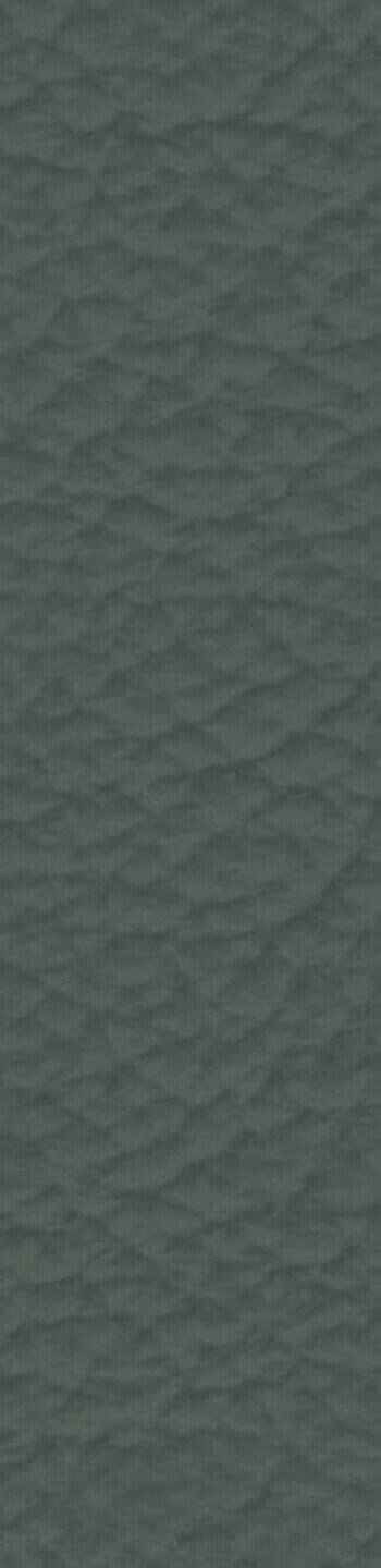 Leather I No. R918