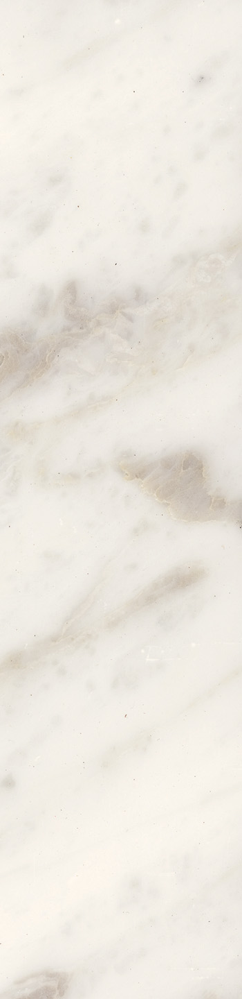 Calacatta Gold Extra